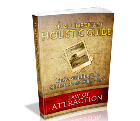 Product picture Holistic Guide