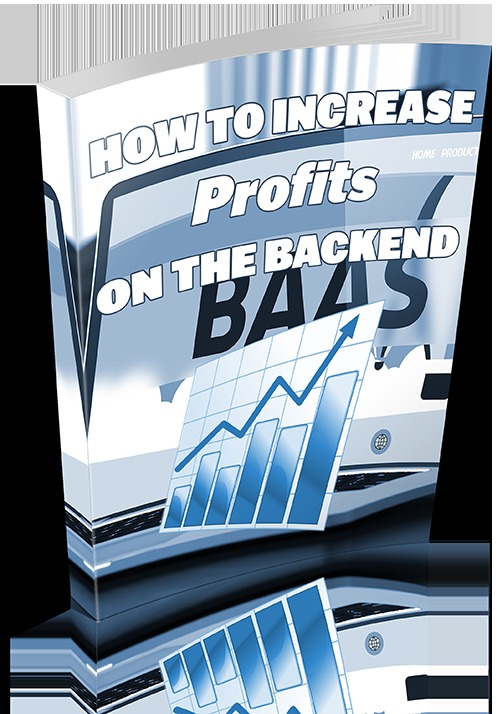Product picture How To Increase Profits On The Backend